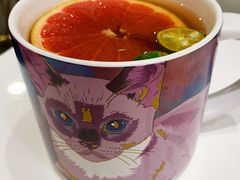 -飞行喵MR PILOT|猫舍·猫咖(静安大融城店)