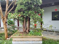 -苏州冶园园林民宿(太湖西山风景区店)