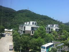 -玫瑰小镇