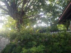 -惠州西湖风景名胜区-丰渚园