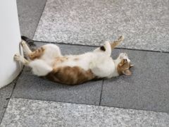 -厦门国家会计学院