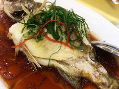 -松雅轩(大源店)