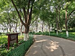 -金银湖国家城市湿地公园