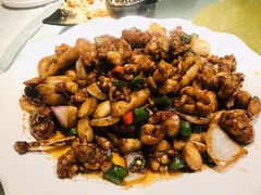 -三猫黑鱼花(南大店)