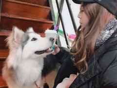 -李小姐の猫咖啡馆(五角场店)
