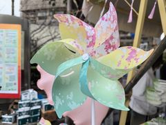 -高东镇樱花园