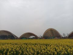 -中国天府农业博览园