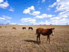 -塞罕坝国家级自然保护区