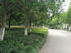 -白塘生态植物园