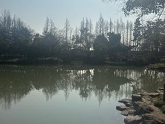 -瀛洲公园