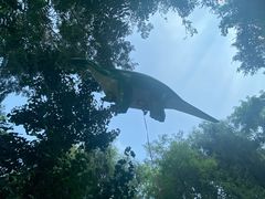 -长白岛森林公园