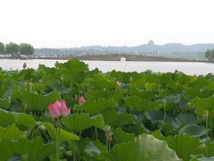 -西湖游船