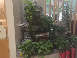 -雅曼妮spa美容养生