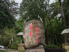 -莫里热带雨林景区