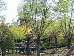 -东郊湿地公园