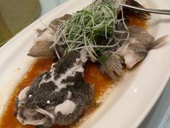 -老洋房花园饭店(绍兴路店)