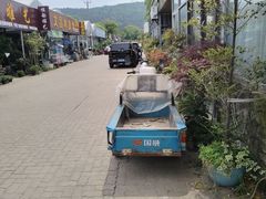 -花鸟市场(虞山北路)