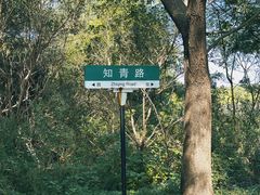 -同里国家湿地公园