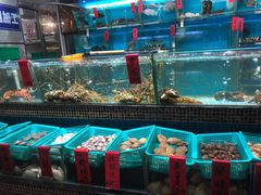 水产区-海大大蒸汽海鲜餐厅·粤菜·特色小炒(欢乐颂店)