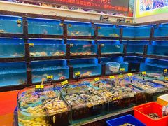 水产区-天天海鲜城·海鲜大排档(新溪店)