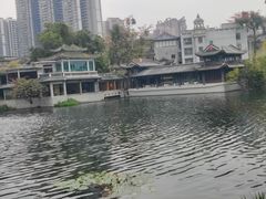-荔湾湖公园