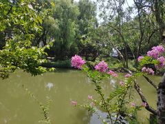 -上海醉白池公园