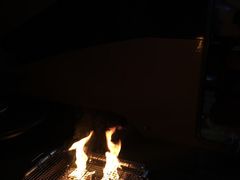 -崇明东平国家森林公园烧烤房车露营地