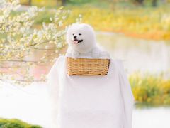 -花开海上生态园