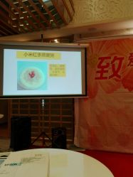 -生命加•Q考拉月子会所(玫瑰园店)