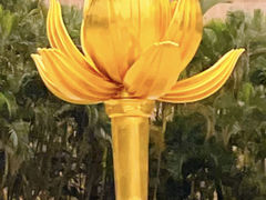 -金莲花广场
