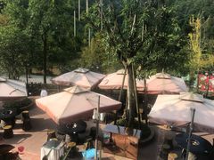 -楠柏弯休闲山庄(梨花溪店)
