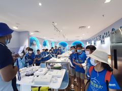 -夏山营地教育