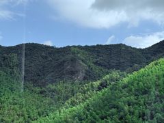 -莫干山风景区