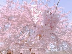 -上海辰山植物园