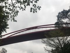 -金鸡山公园