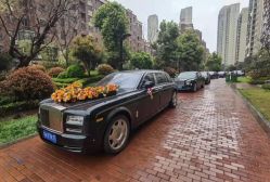 -蚂蚁婚车