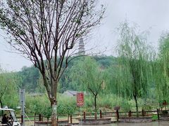 -渭南桃花源民俗文化园