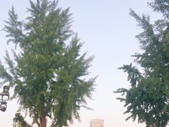 -大雁塔北广场音乐喷泉