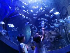 -成都浩海立方海洋公园