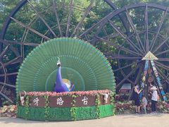 -呀路古热带植物园
