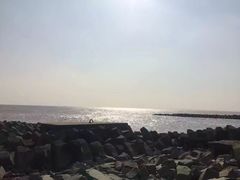 -南汇嘴观海公园