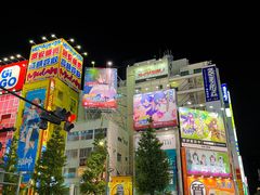 -秋叶原电器街