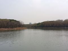 -昆山城市生态森林公园