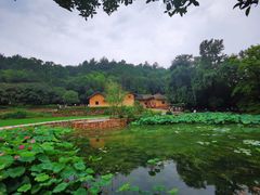 -韶山毛泽东同志故居