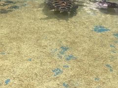 -邯郸海洋世界