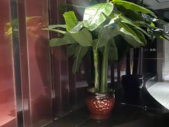 -香满楼(清水河路店)