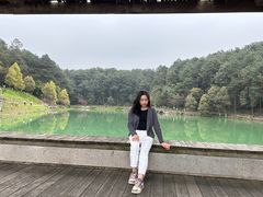 -铁山坪森林公园