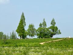 -良渚古城遗址公园