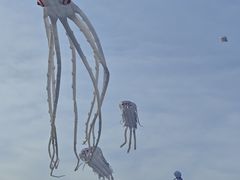 -巨鹏飞梦幻海岸