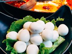 -渝涯重庆豆花老火锅(中赢国际店)
